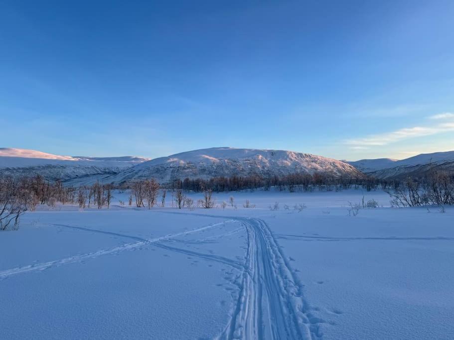 Arctic Retreat - Lovely Next To Amazing Nature Leilighet Tromsø