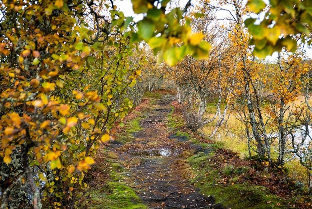 Arctic Retreat - Lovely Next To Amazing Nature Lejlighed